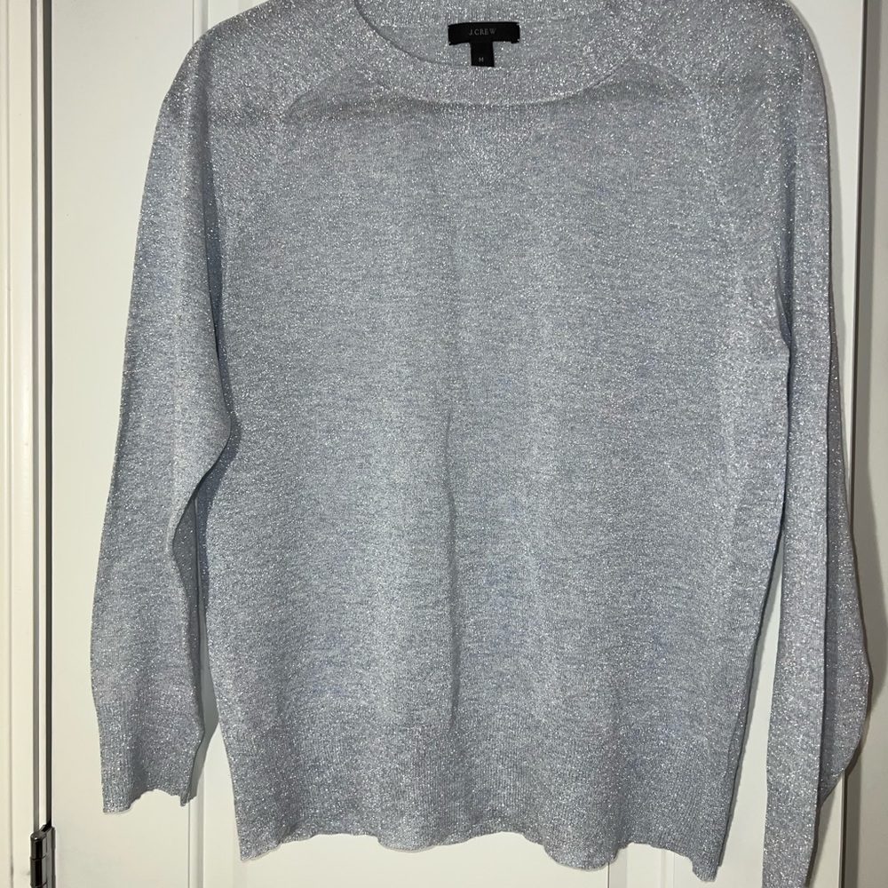 JCrew Light Blue, Sparkly Long Sleeve
